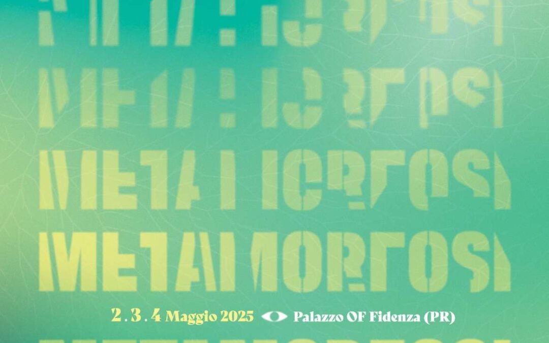 LSD Festival