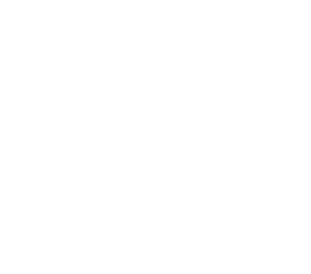 business-bianco copy