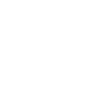 scarica-PDF-bianco copy